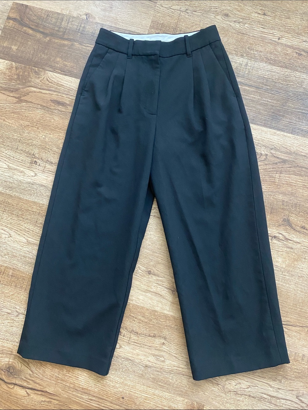 Wilfred Aritzia Pleated Trouser Effortless Pants Womens 6